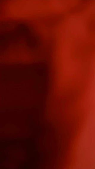 Deborah Ann Woll – True Blood (2008)